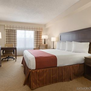 Executive King Suite